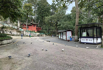 弘福寺第 10 张图片