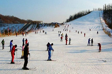 英杰温泉松林滑雪场第 2 张图片