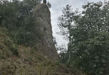天烛湖仙境景区第 25 张图片