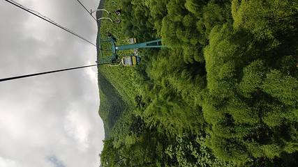 宜兴竹海风景区第 56 张图片