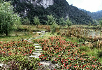 花坝旅游度假区第 24 张图片
