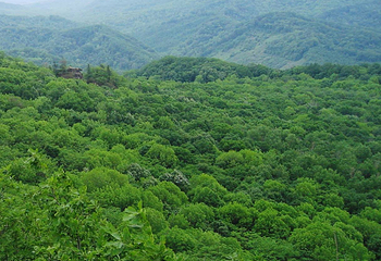 松峰山景区第 54 张图片