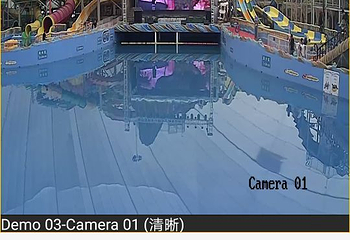燕窝水世界第 26 张图片