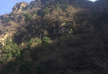 天脊山自然风景区第 48 张图片