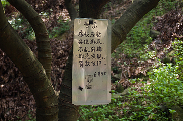 塘朗山公园第 18 张图片