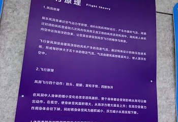 步步高飞行体验馆第 10 张图片