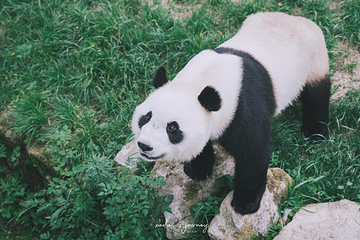 长青华阳景区第 50 张图片