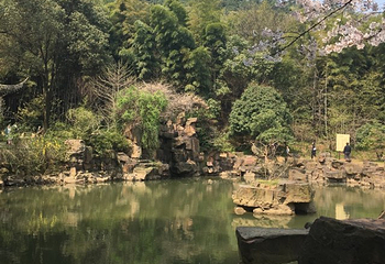 勐梭龙潭第 35 张图片