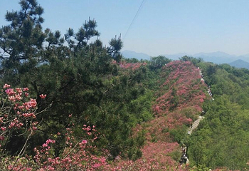 英山县天马寨风景区第 49 张图片