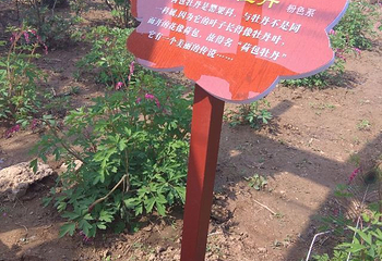汉牡丹园景区第 35 张图片