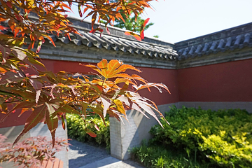 龙王庙行宫第 11 张图片