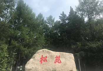 松苑公园第 9 张图片