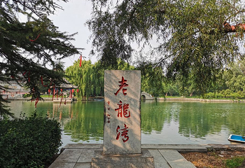 老龙湾第 21 张图片