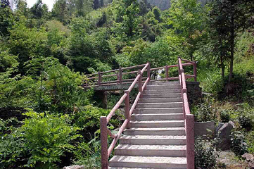 大历山第 3 张图片