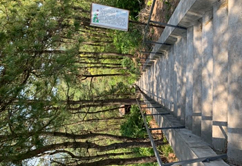 白兆山李白文化旅游区第 18 张图片