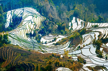 老虎嘴梯田第 26 张图片