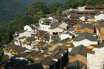 婺源石门峡山野秘境第 51 张图片
