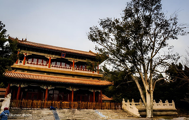 景山公园第 51 张图片