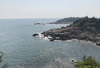 大树岛第 11 张图片