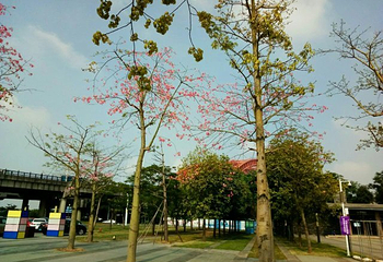 龙湾婚庆主题公园第 8 张图片