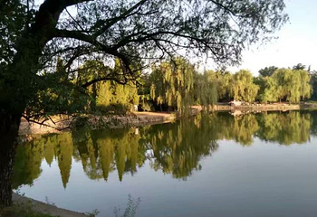 咸阳湖景区渭滨公园第 11 张图片