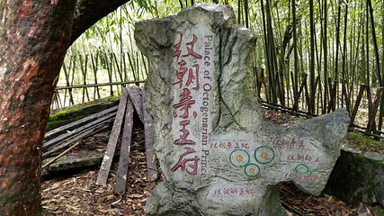 金佛山第 156 张图片