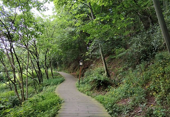 鸿恩寺公园第 5 张图片