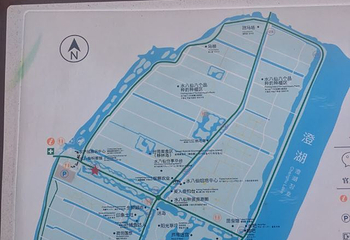 水八仙生态园第 14 张图片
