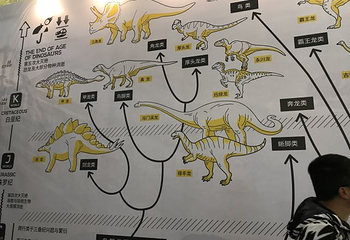 DINOLAB恐龙实验室第 8 张图片
