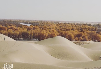 罗布人村寨第 45 张图片