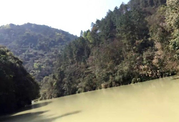厦门野山谷景区第 51 张图片