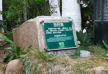 古象温泉度假村第 23 张图片