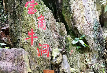 勐远仙境第 61 张图片