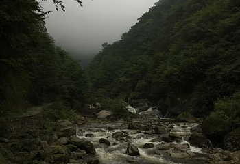 云雾山风景区第 24 张图片