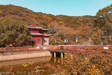 木兰云雾山第 84 张图片
