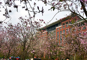 华南农业大学第 20 张图片