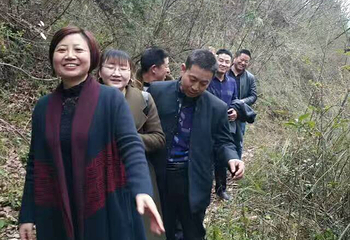 龙会花谷第 3 张图片