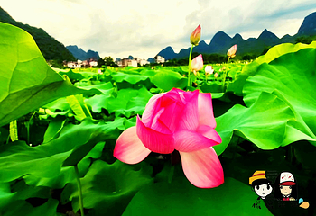 遇龙河景区第 82 张图片