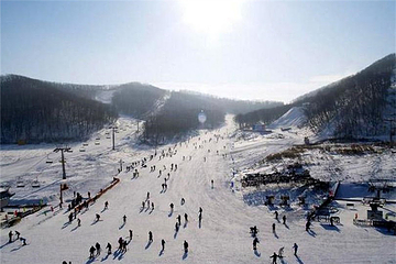 东岭滑雪场第 8 张图片