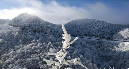汉中龙头山国际旅游度假区第 8 张图片