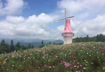 苏马荡大花谷景区第 25 张图片