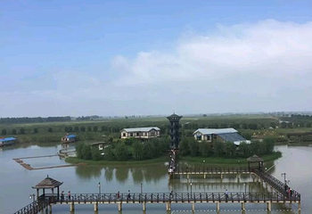 高邮湖芦苇荡湿地公园第 46 张图片