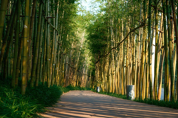 牛首山文化旅游区第 25 张图片