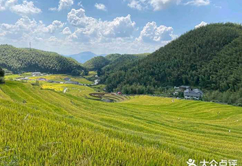 上堡梯田第 28 张图片