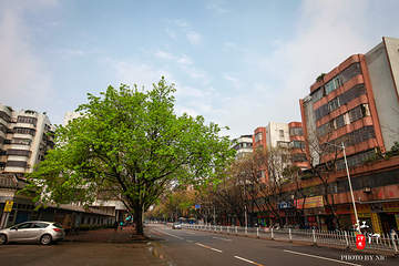 江门市陈白沙纪念馆第 21 张图片