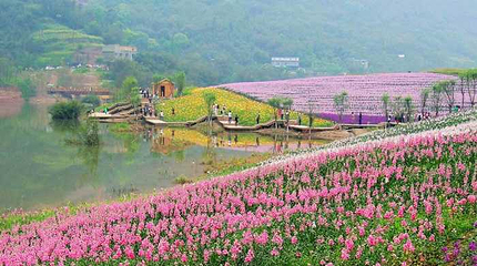 清溪谷旅游区-花田酒地景区第 65 张图片