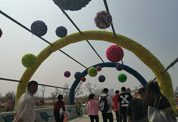 鲜花小镇第 21 张图片