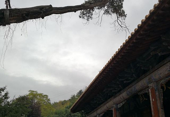 南郭寺第 16 张图片