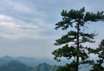 景忠山第 27 张图片