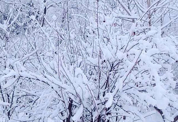 天桥沟滑雪场第 45 张图片